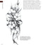 Great Book of Floral Patterns, Third Edition, Revised and Expanded: The Ultimate Design Sourcebook for Artists and Crafters (Fox Chapel Publishing) Over 100 Expertly Drawn Designs from Lora S. Irish