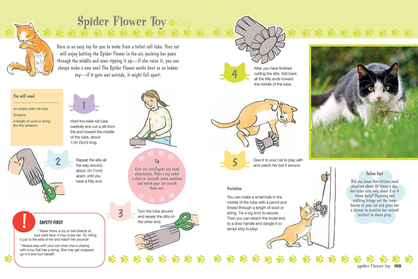 My First Cat Book: Simple and fun ways to care for your feli