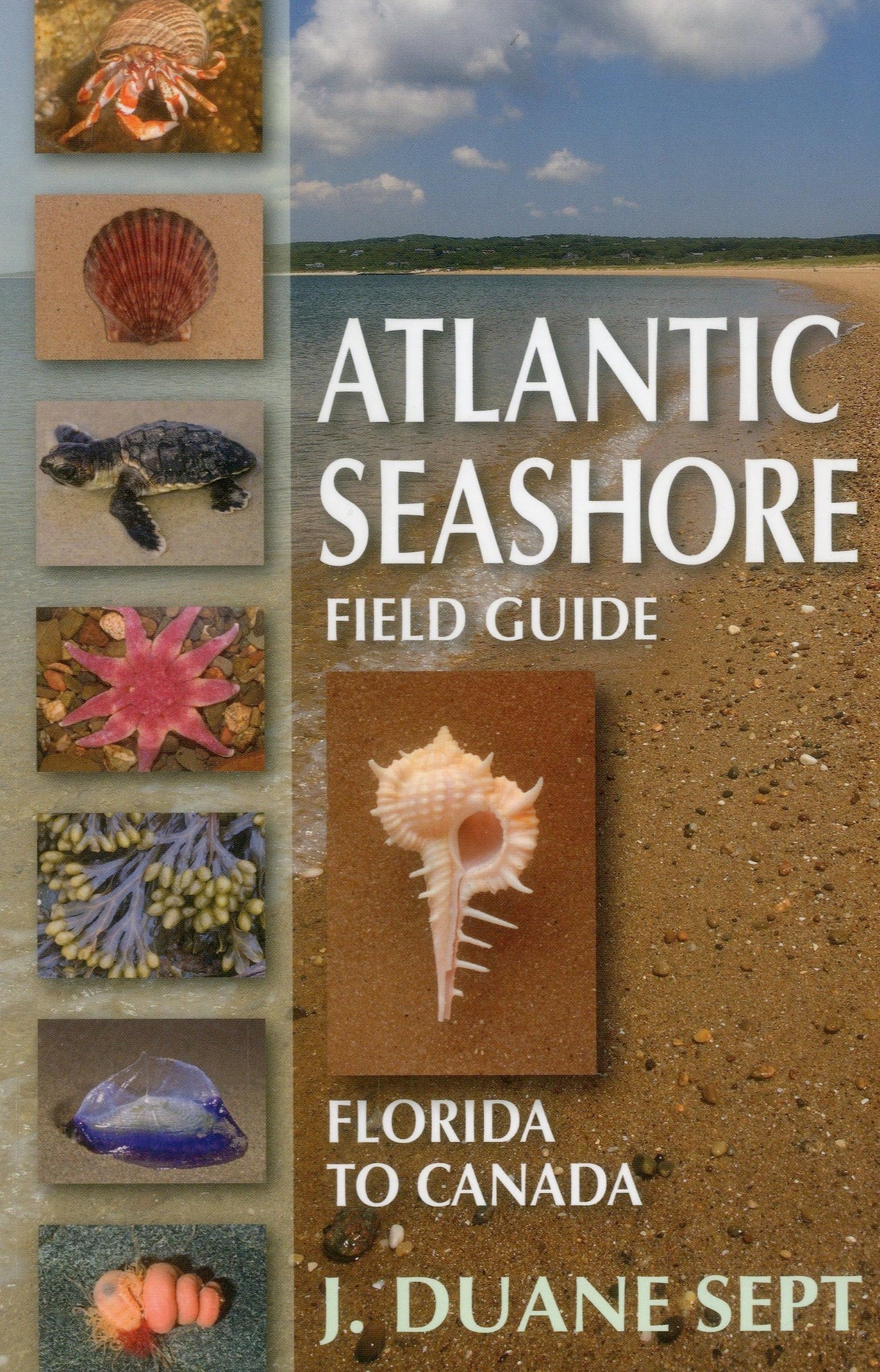 Atlantic Seashore Field Guide: Florida to Canada