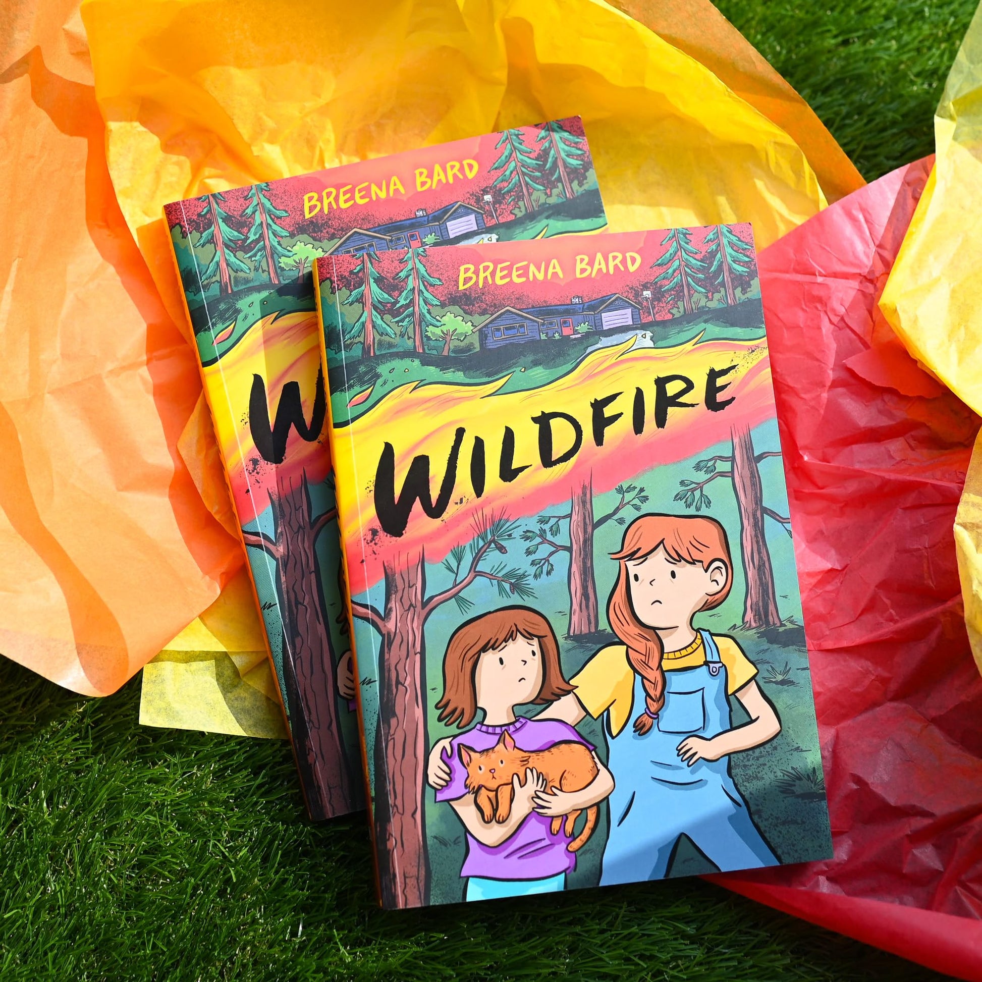 Wildfire (A Graphic Novel)