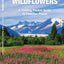 Alaska Trees & Wildflowers: A Folding Pocket Guide to Familiar Plants (Wildlife and Nature Identification)