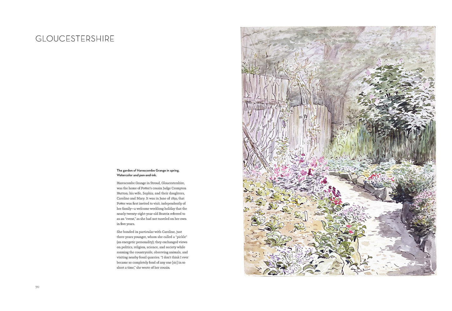 The Art of Beatrix Potter: Sketches, Paintings, and Illustrations