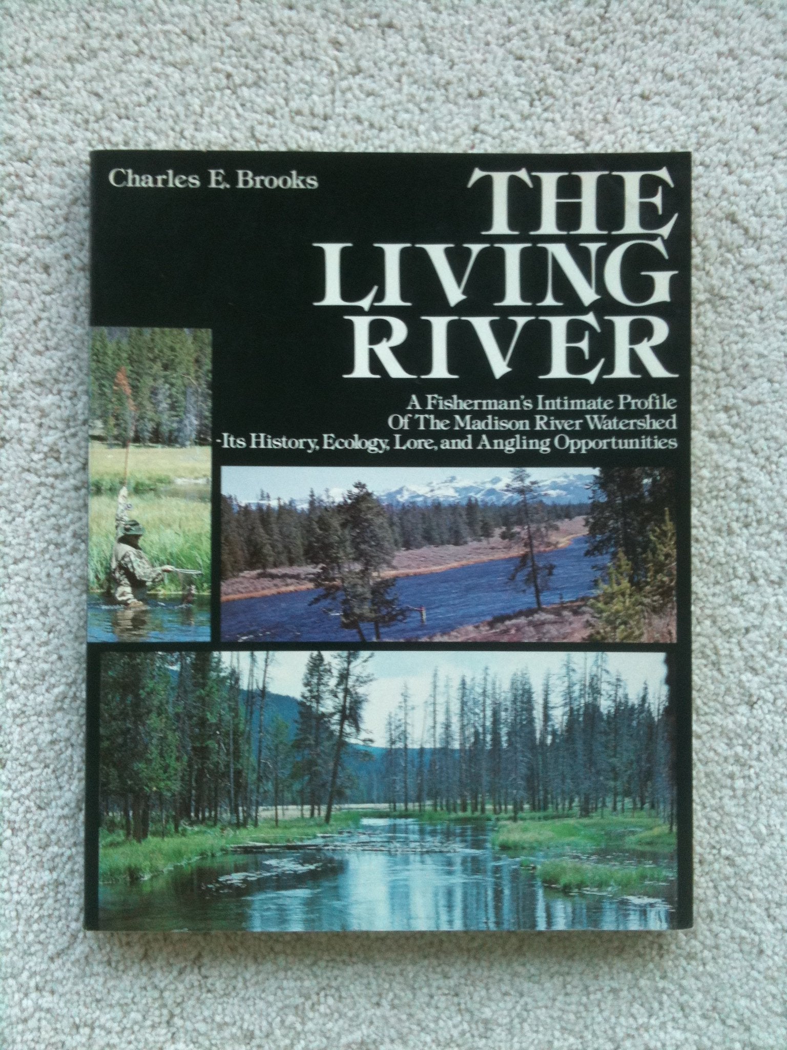The Living River