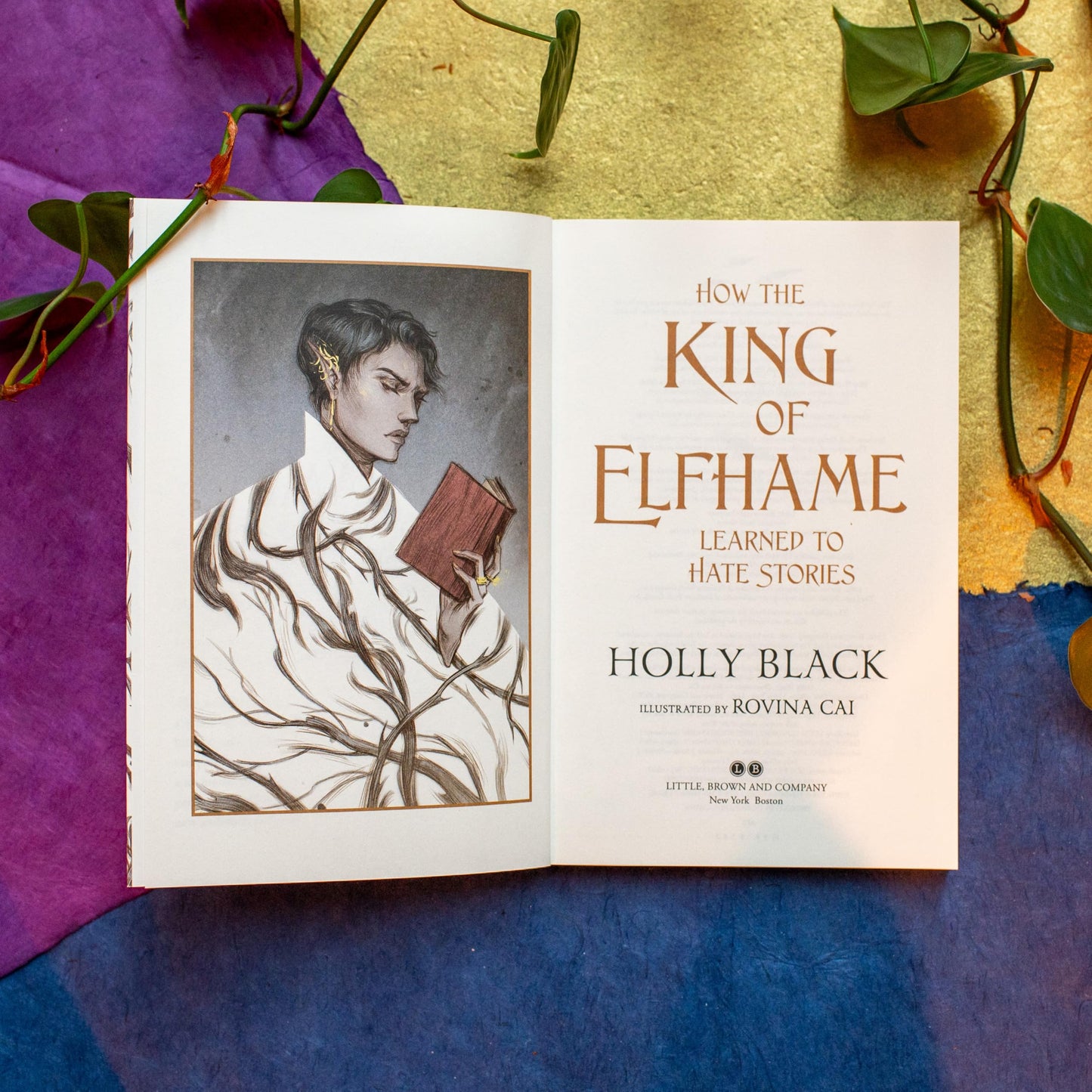How the King of Elfhame Learned to Hate Stories (The Folk of the Air)