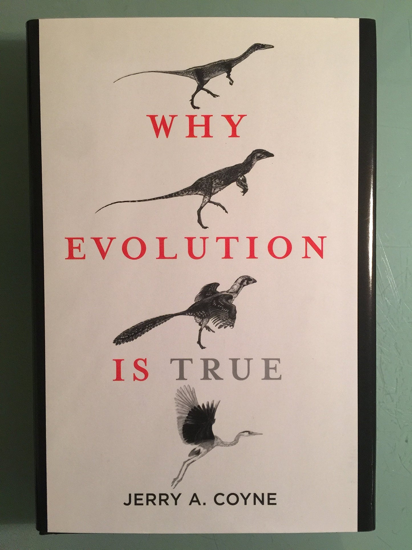 Why Evolution Is True by Coyne, Jerry A.