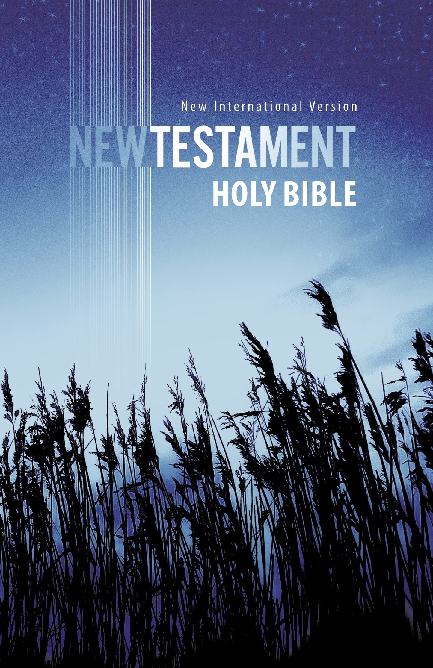 Holy Bible: New International Version, Outreach New Testament