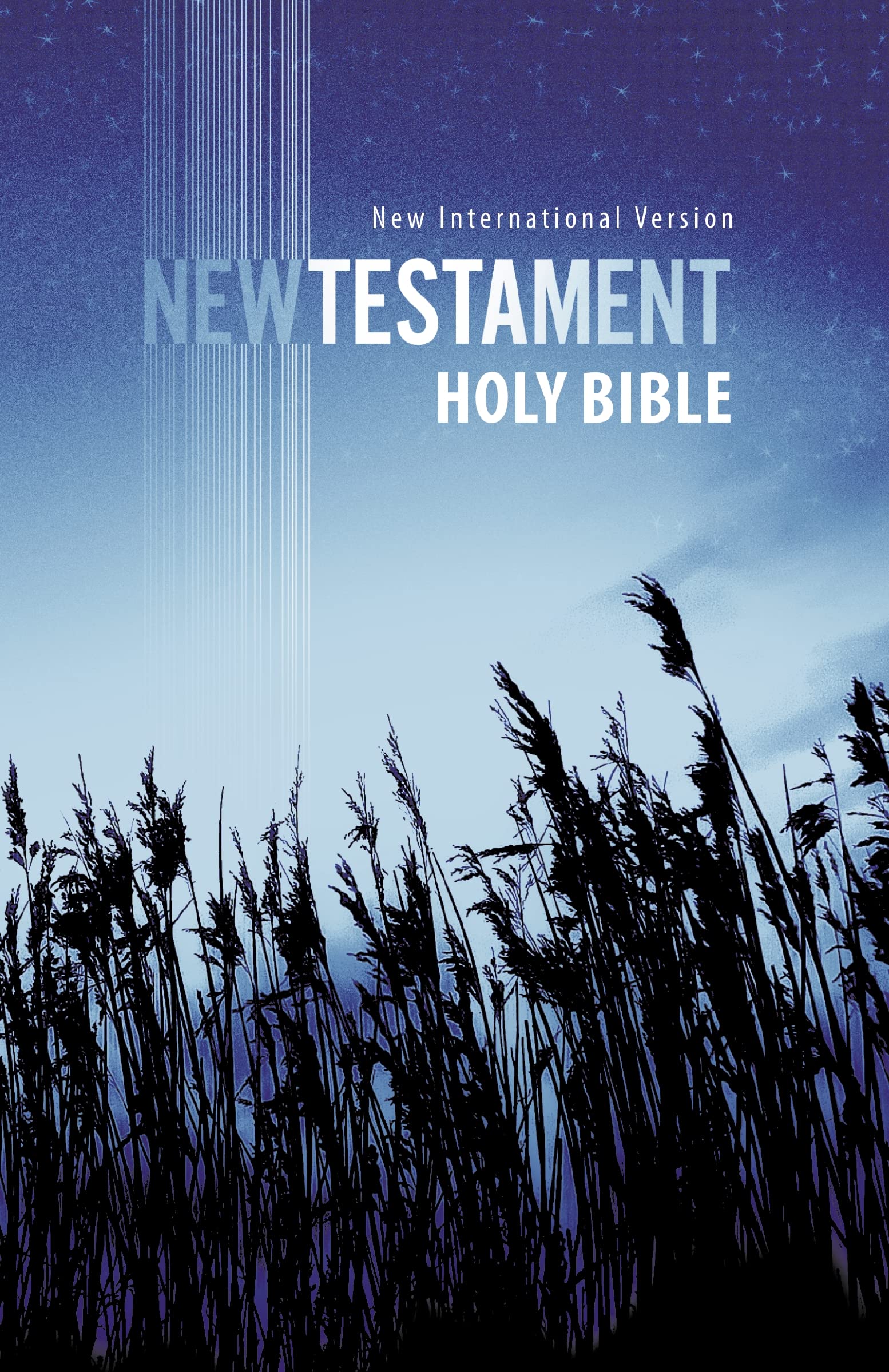 Holy Bible: New International Version, Outreach New Testament