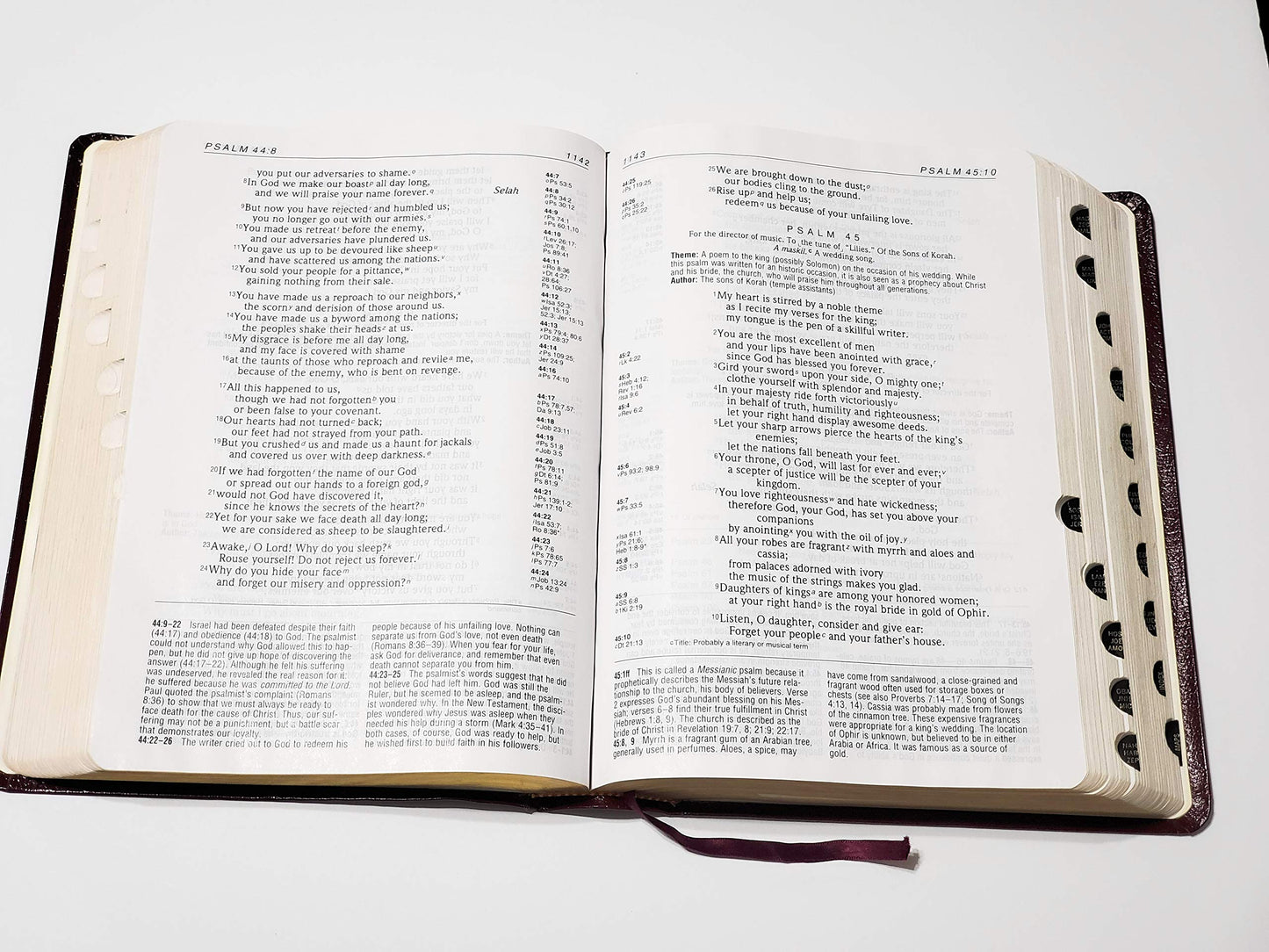 Holy Bible: NIV Life Application Bible by Miakarts Books