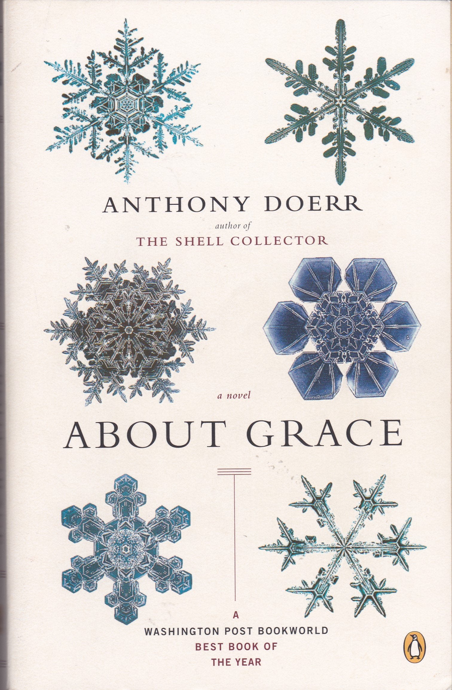 About Grace: A Novel