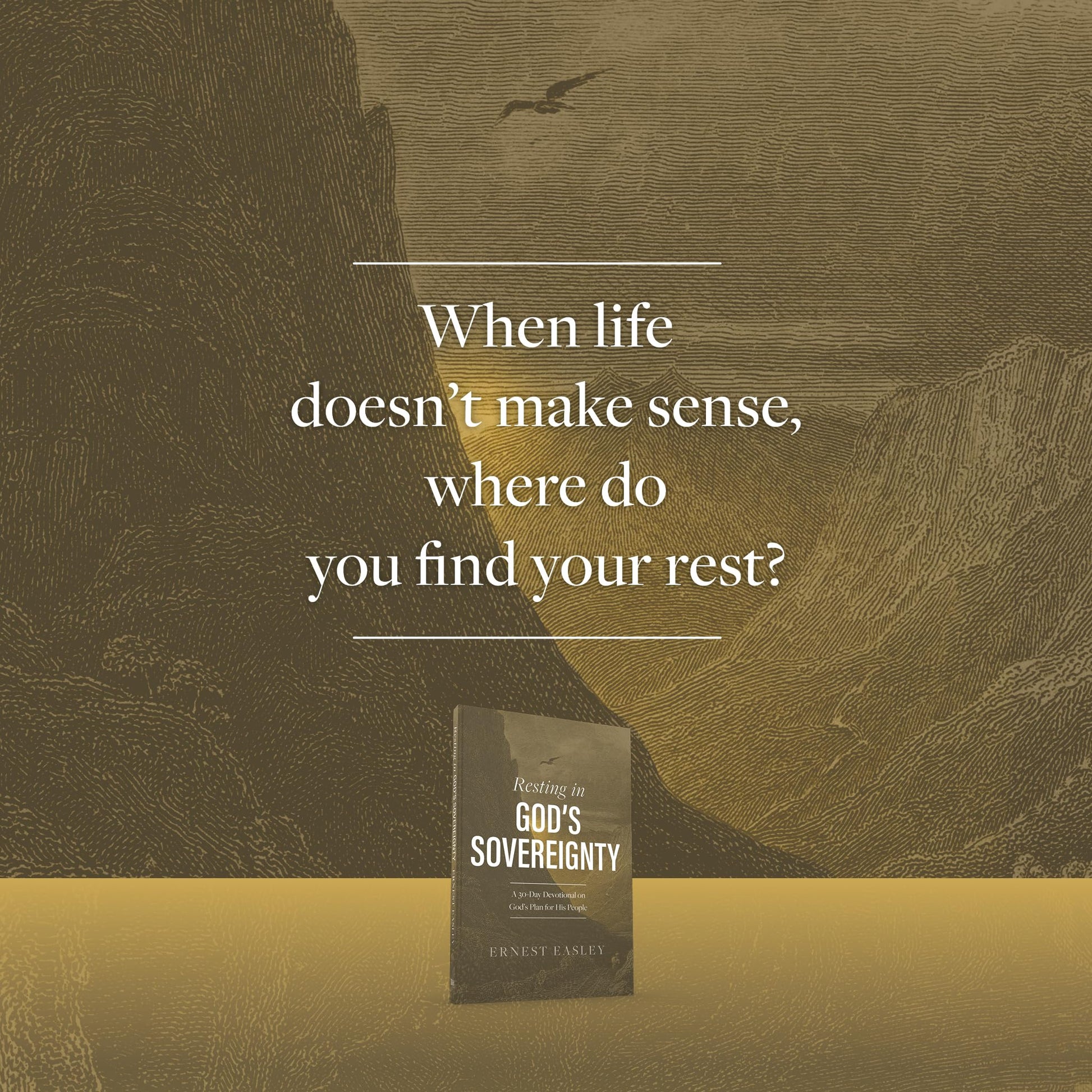 Resting in God's Sovereignty: A 30-Day Devotional on Gods Plan for His People