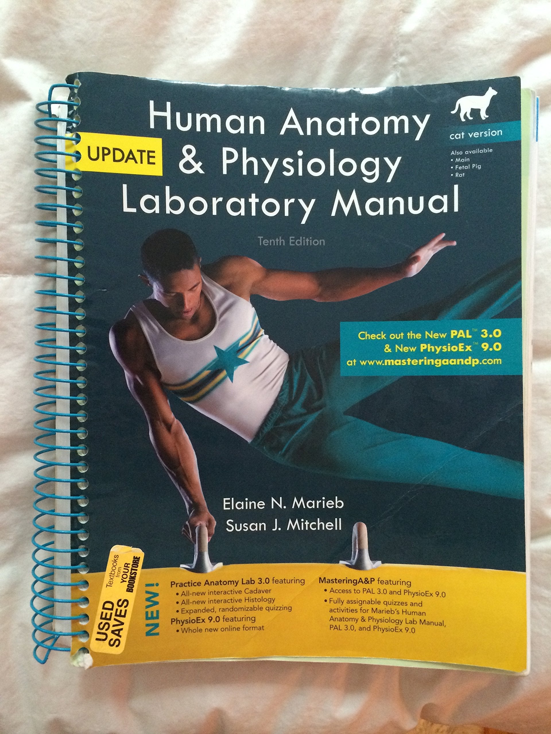 Human Anatomy & Physiology: Cat Version
