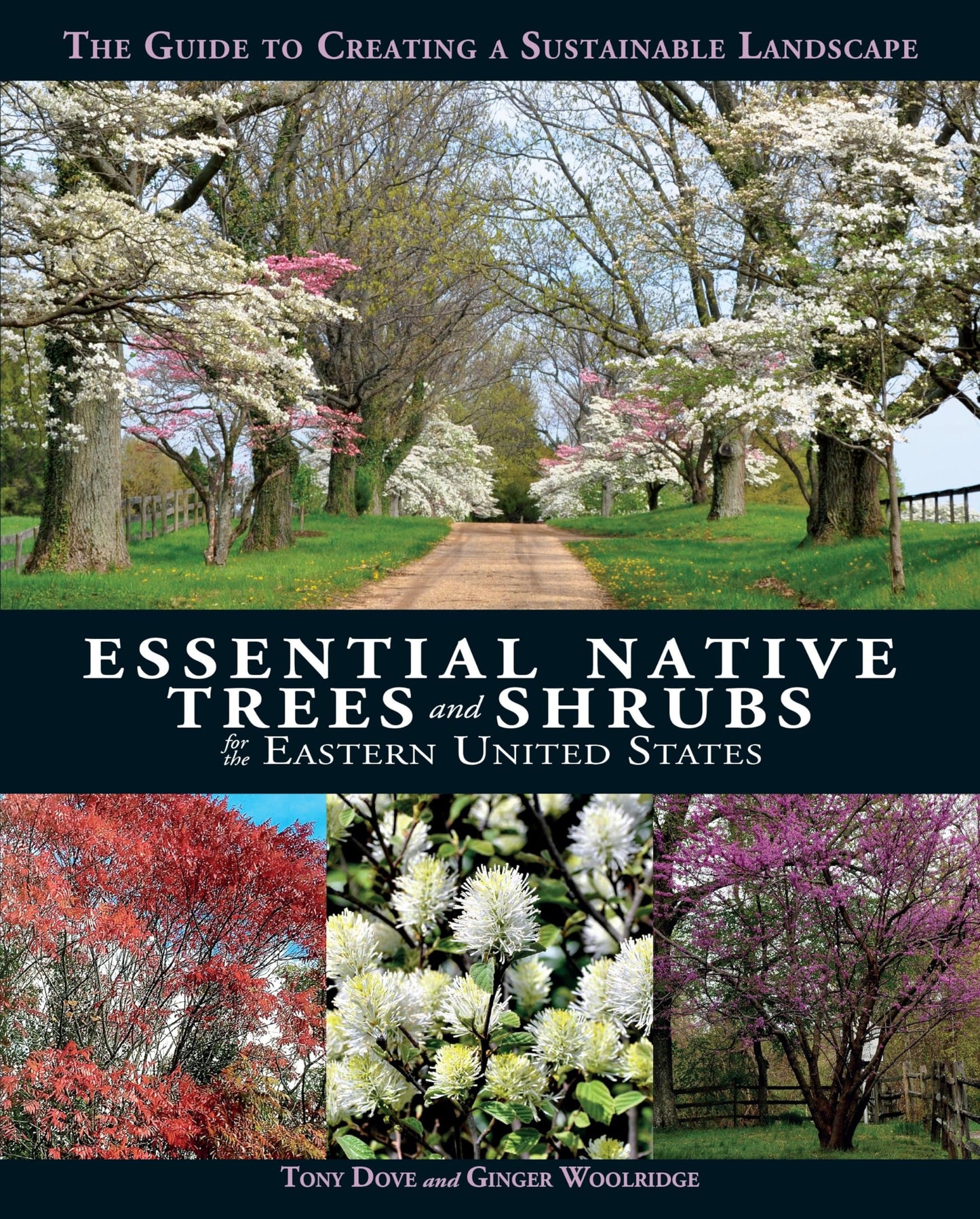 Essential Native Trees and Shrubs for the Eastern United States: The Guide to Creating a Sustainable Landscape
