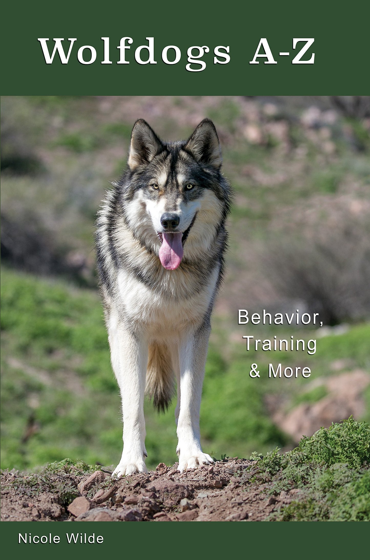 Wolfdogs A-Z: Behavior, Training & More (Wolf Hybrids)