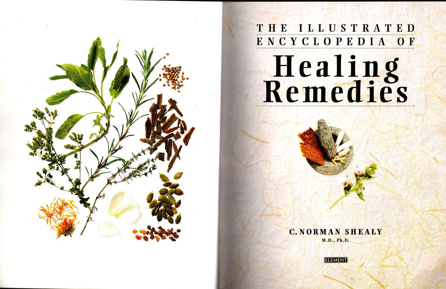Illustrated Encyclopedia of Healing Remedies
