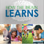 How the Brain Learns