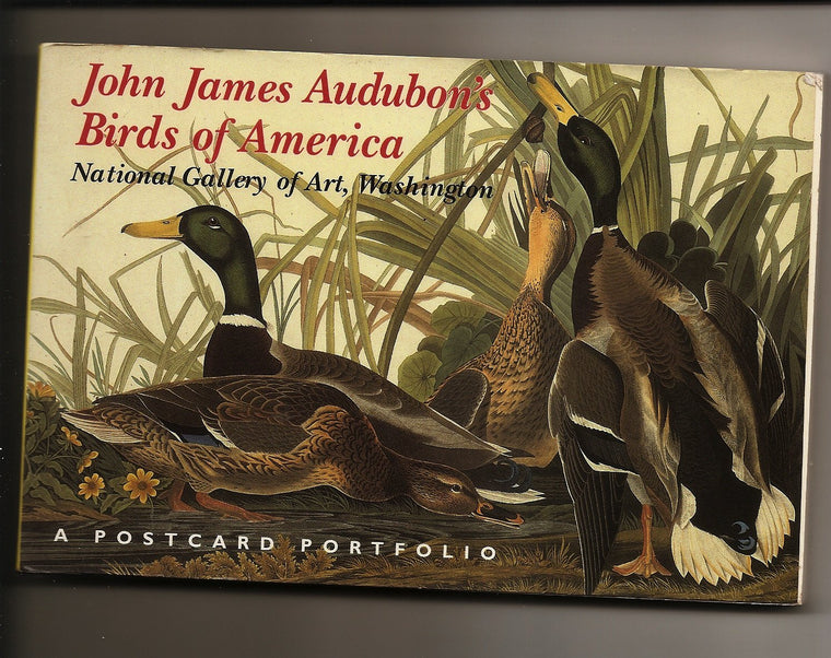 Audubon Postcards
