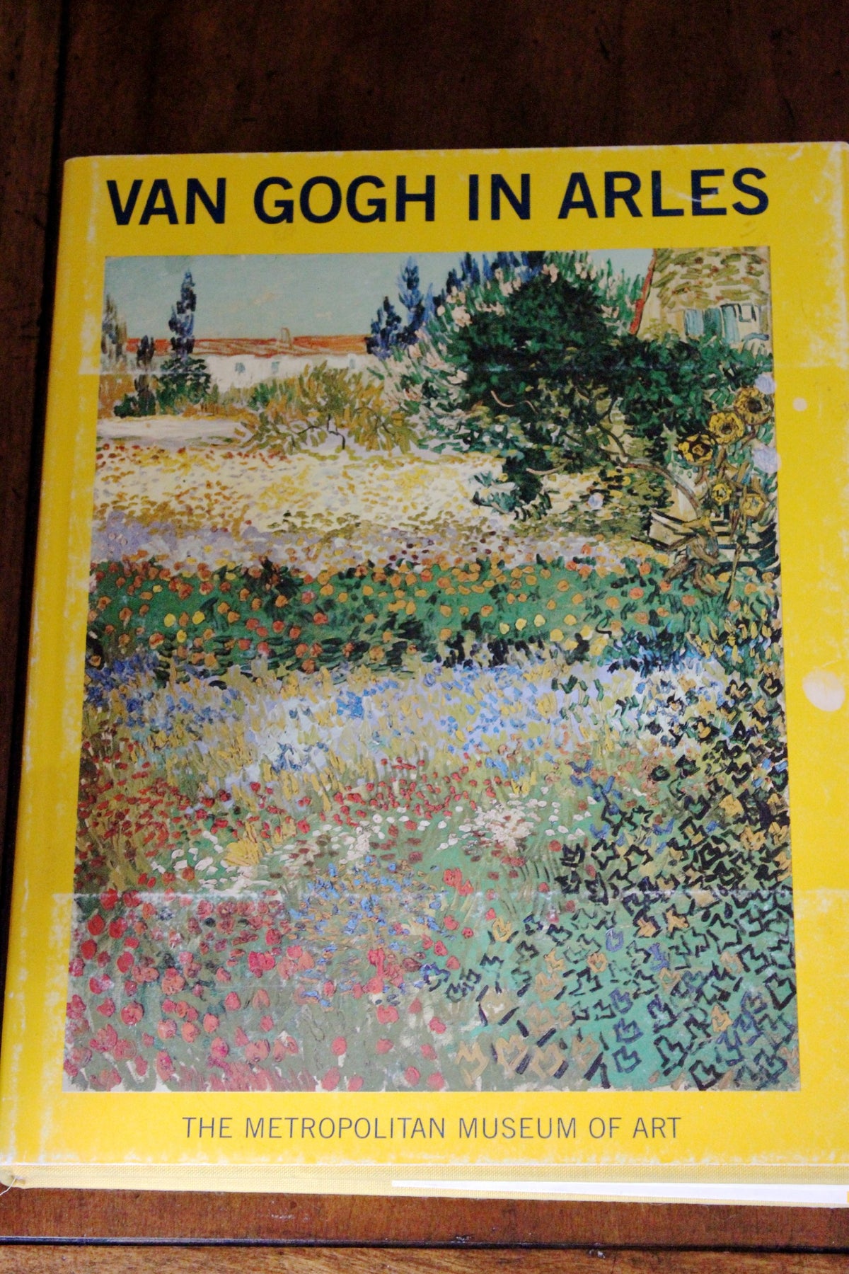 Van Gogh in Arles