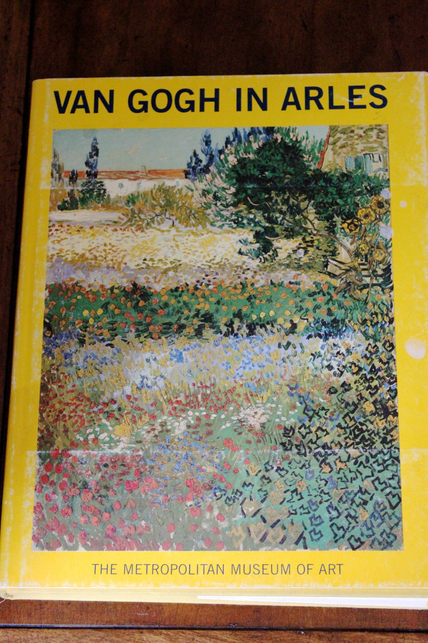 Van Gogh in Arles