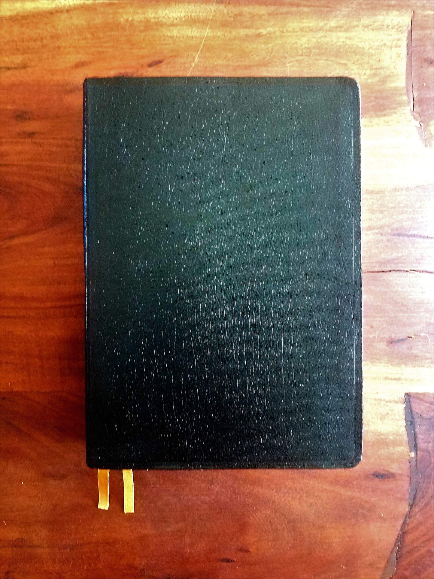 Catholic Study Bible by Senior, Donald