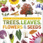Trees, Leaves, Flowers and Seeds: A visual encyclopedia of the plant kingdom