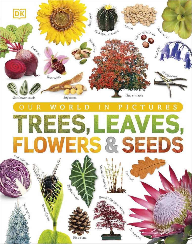 Trees, Leaves, Flowers and Seeds: A visual encyclopedia of the plant kingdom