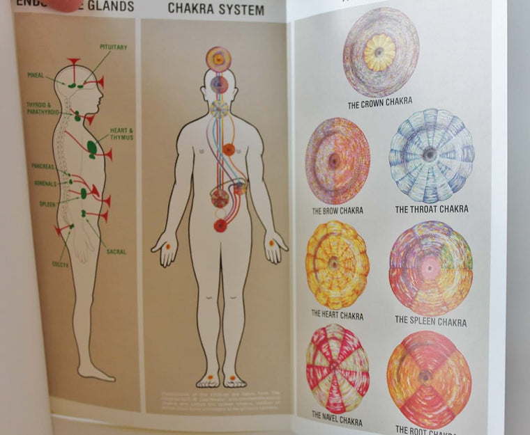 The Chakras and the Human Energy Fields (Quest Book)