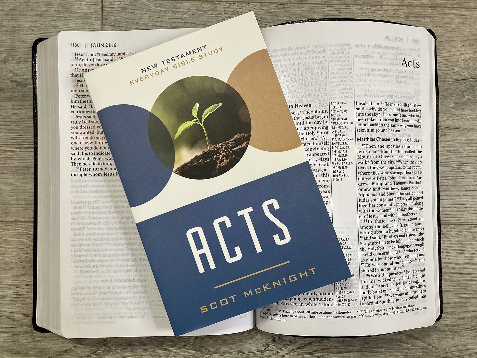 Acts: Participating Together in God’s Mission (New Testament Everyday Bible Study Series)