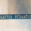 Cattus Petasatus: The Cat in the Hat in Latin (Latin Edition)