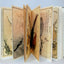 UTAMARO: A Chorus of Birds (English and Japanese Edition) by