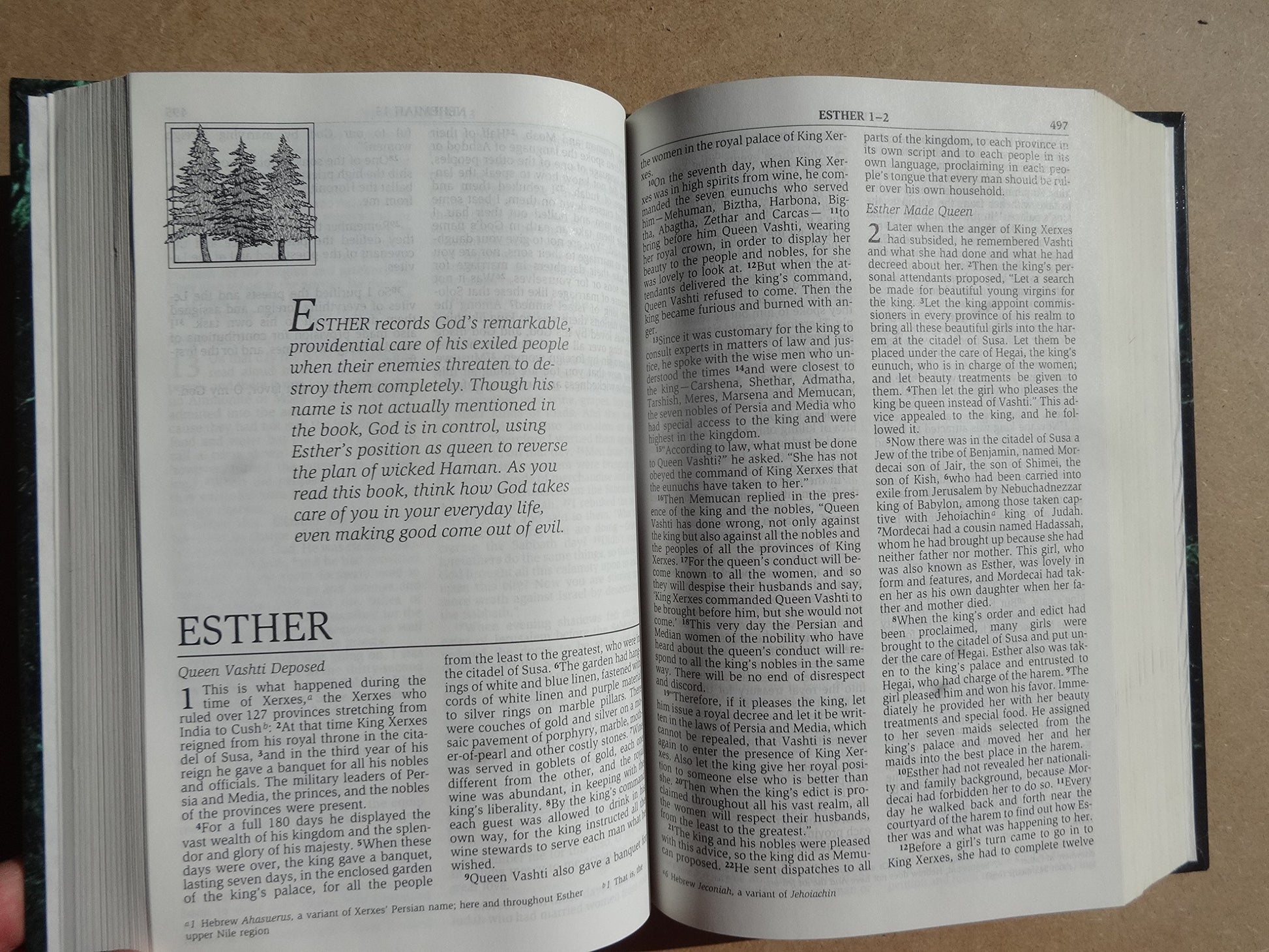 NIV Men's Devotional Bible: New International Version