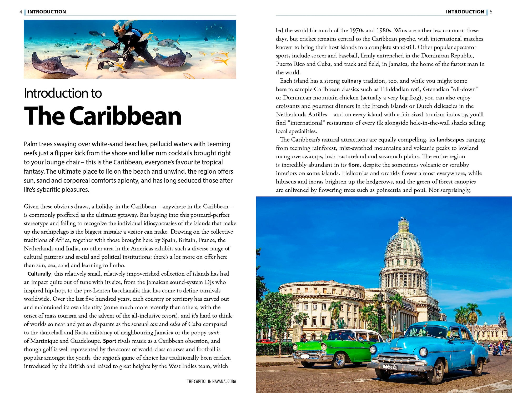 The Rough Guide to the Caribbean (Travel Guide eBook) (Rough Guides Main Series)
