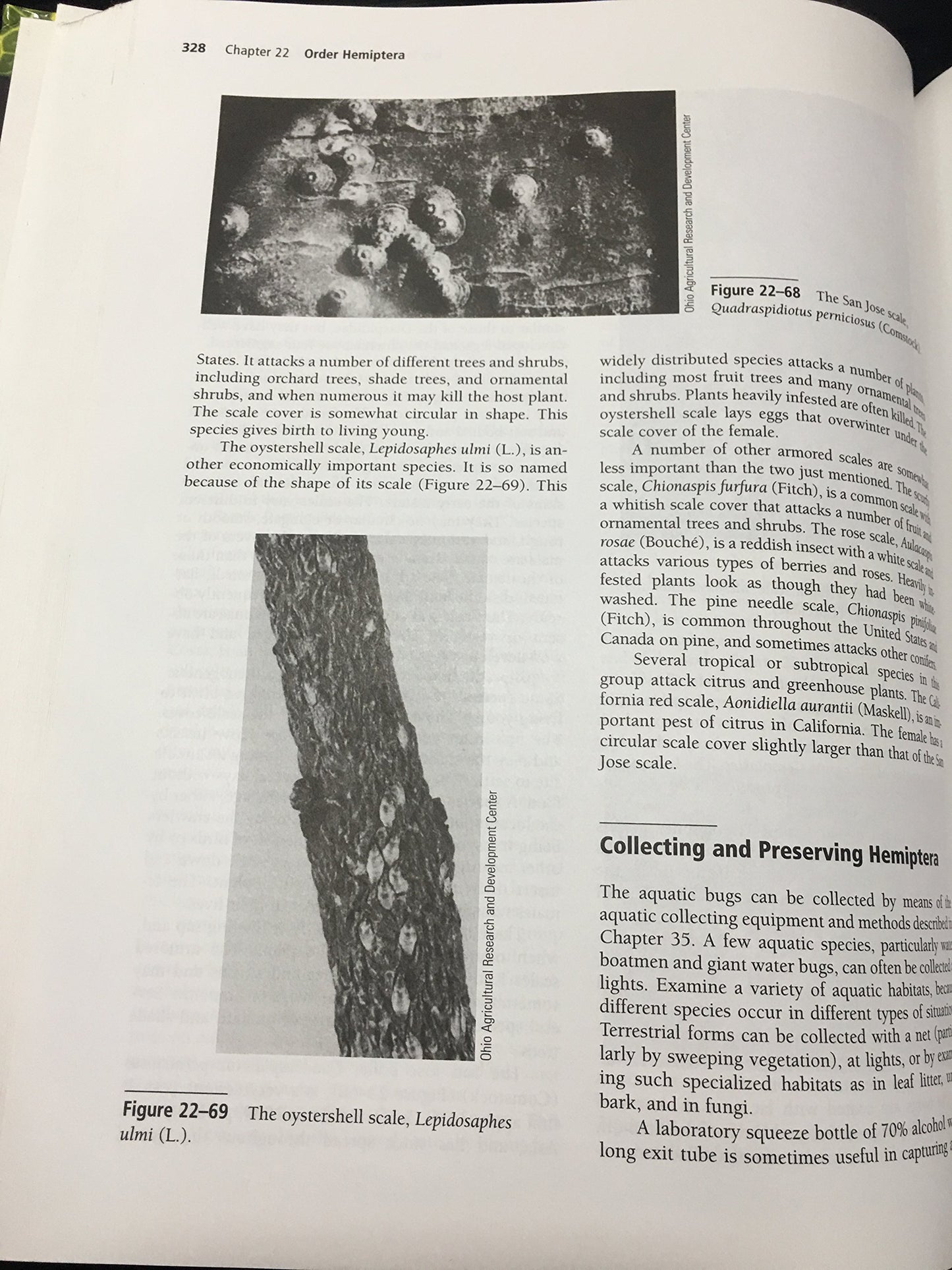 Borror and DeLong's Introduction to the Study of Insects