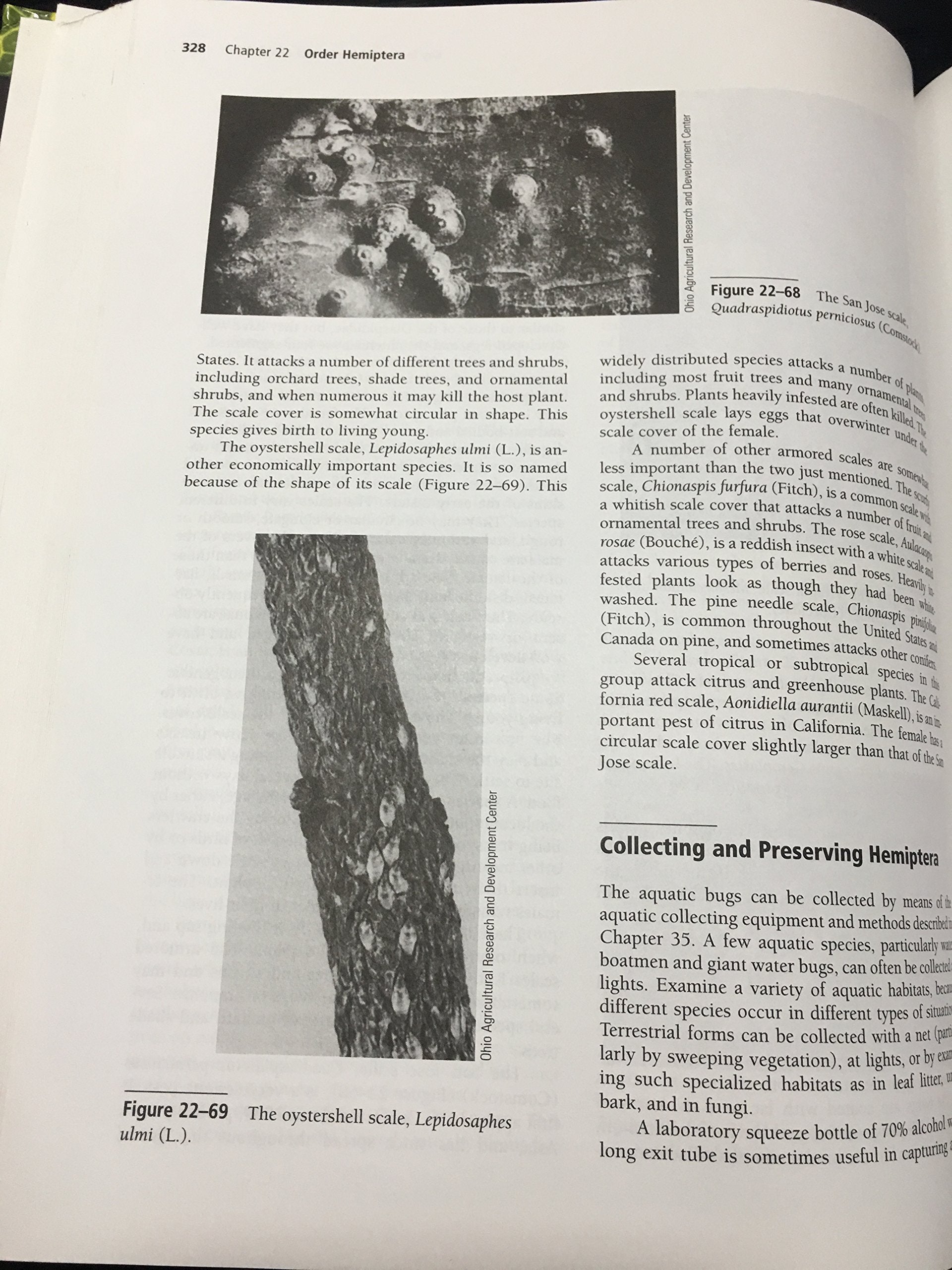 Borror and DeLong's Introduction to the Study of Insects