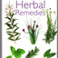 Herbal Remedies (Visual Reference Guides)