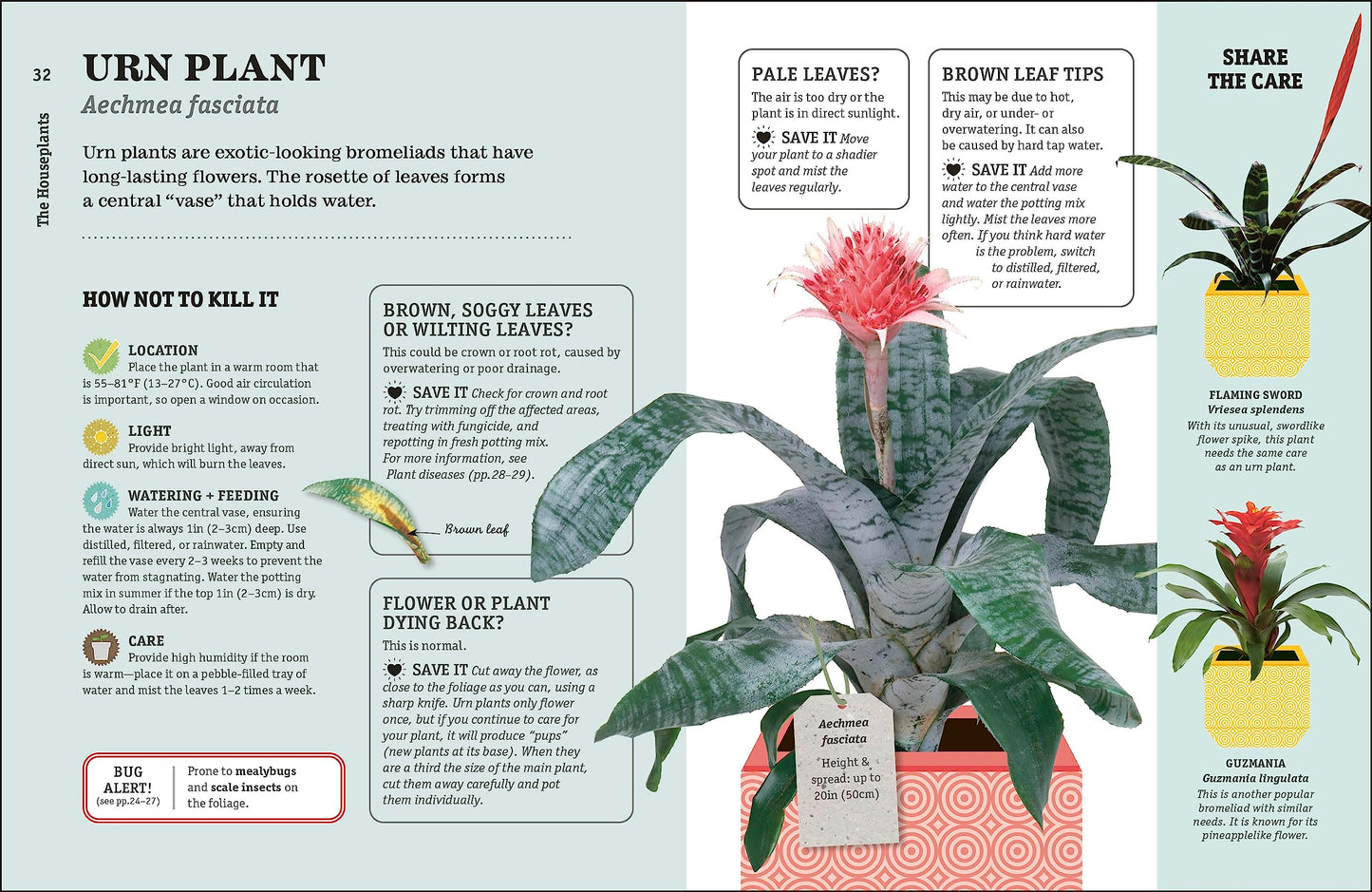 How Not to Kill Your Houseplant New Ed: Survival Tips