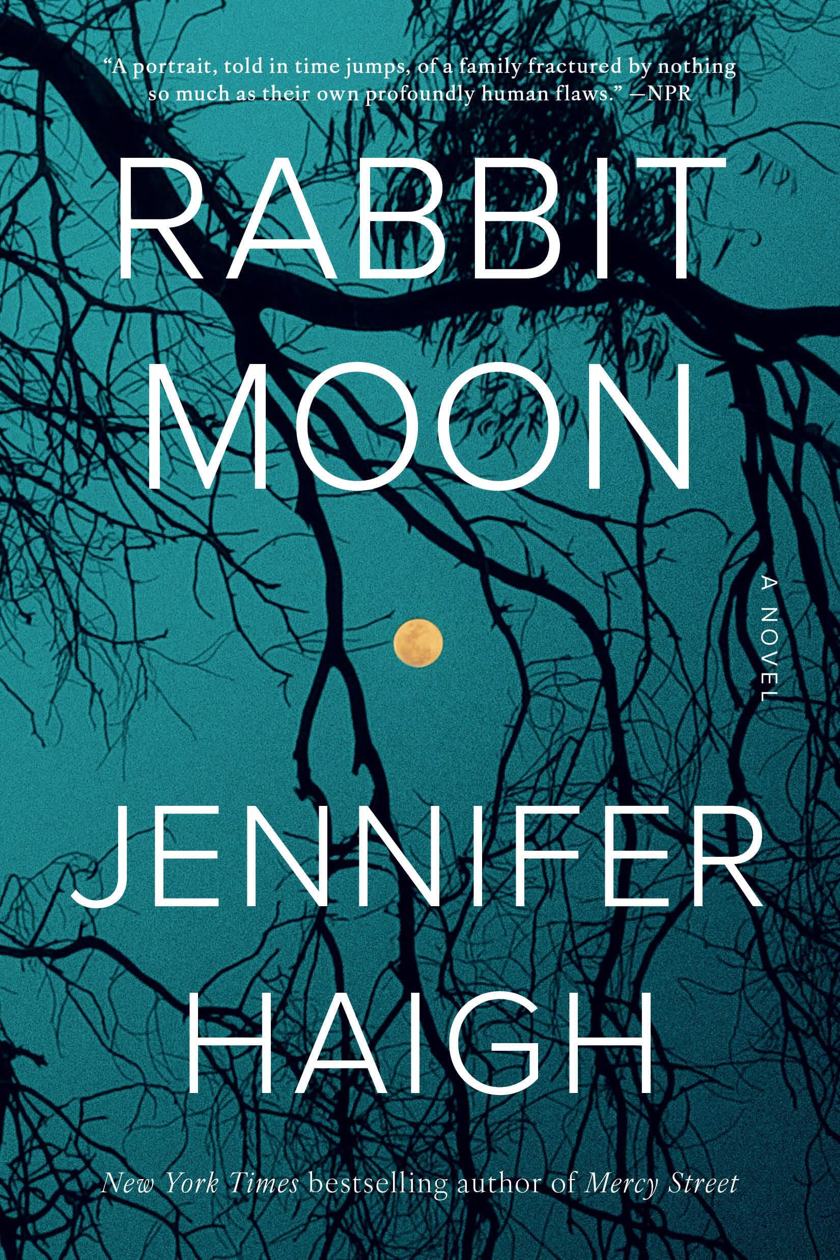 Rabbit Moon: A Novel