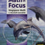 Math in Focus, Grade 6-8: Singapore Math, Student Edition (Math in Focus: Singapore Math)