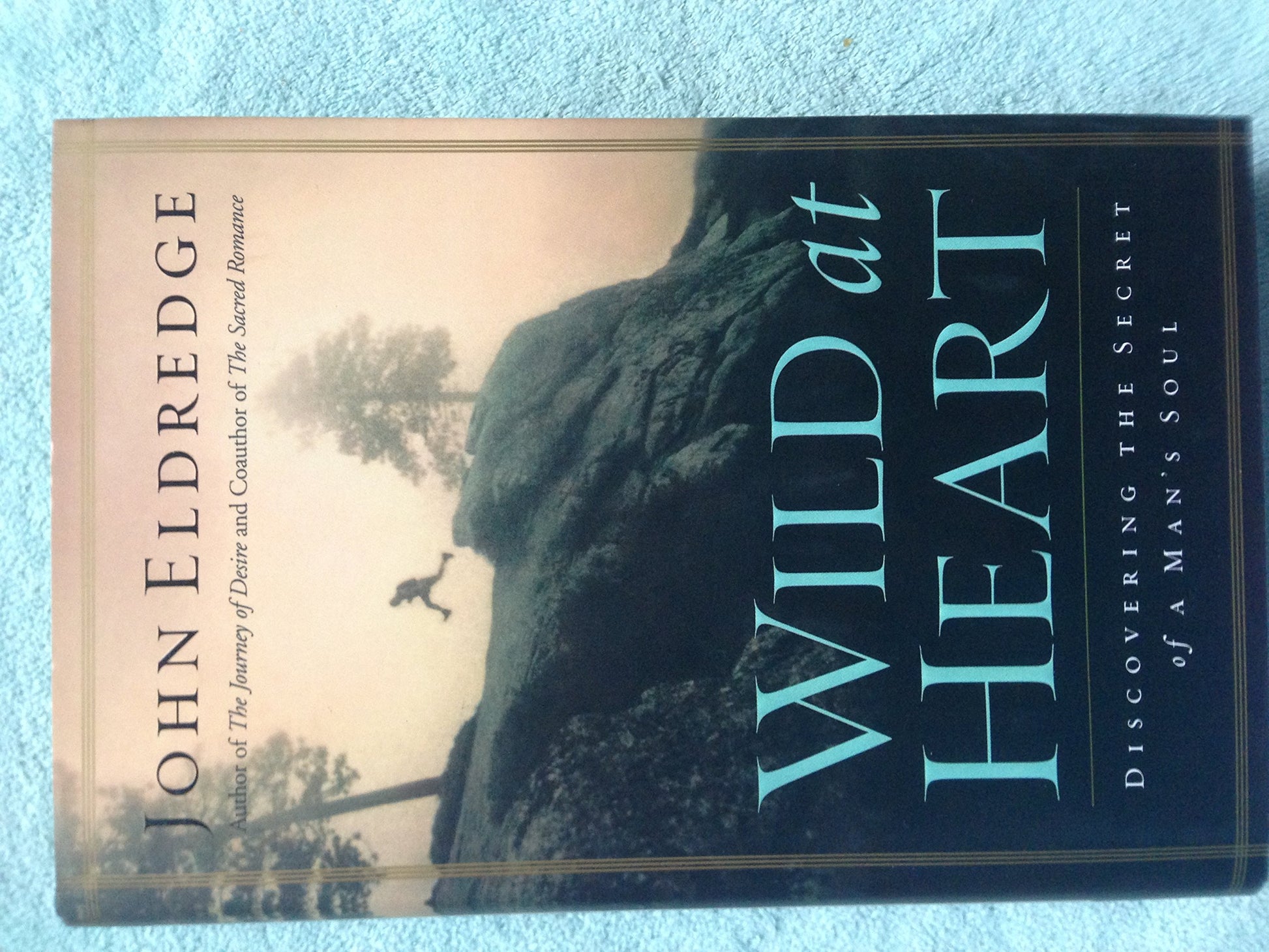 Wild at Heart: Discovering the Secret of a Mans Soul