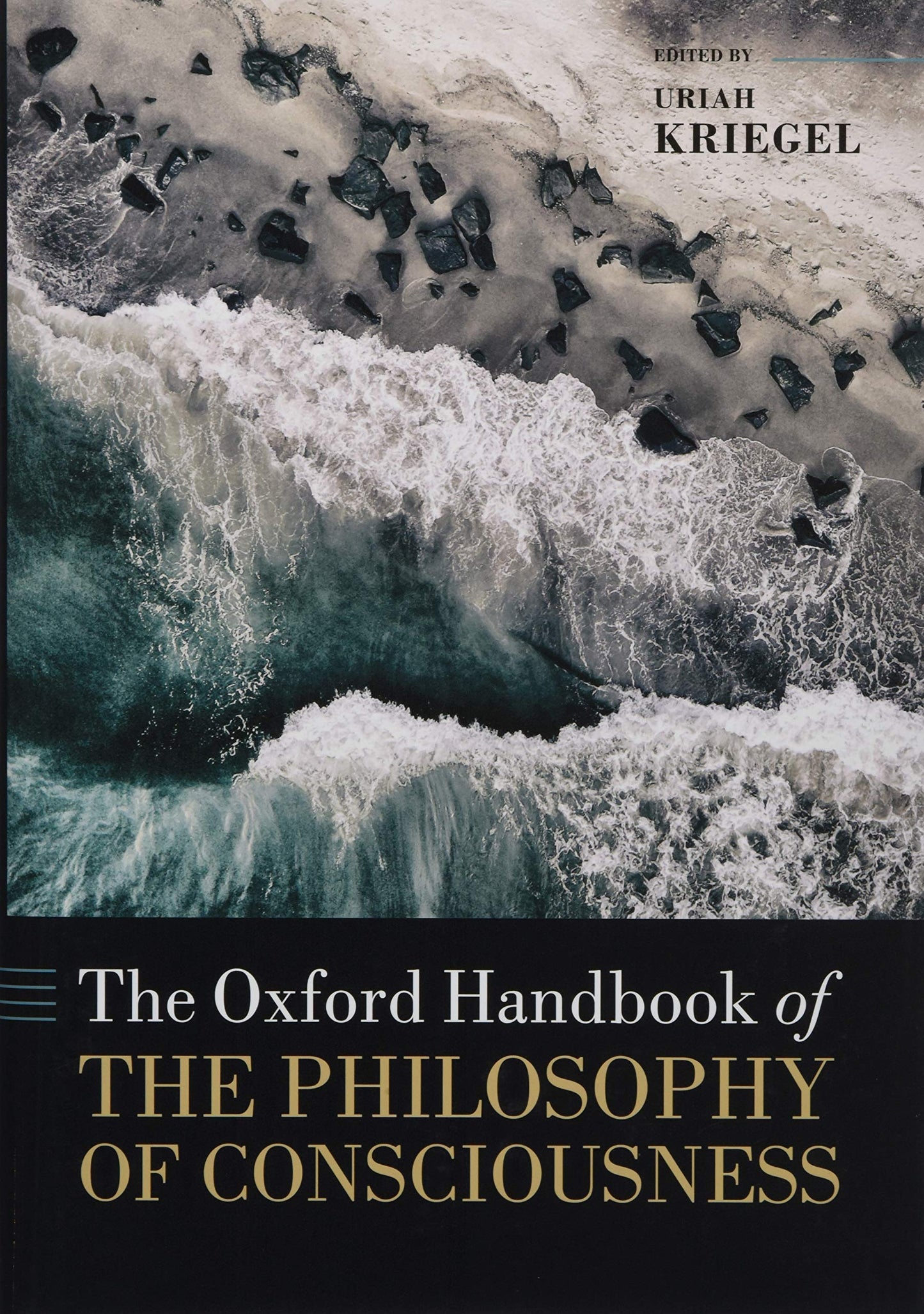 The Oxford Handbook of the Philosophy of Consciousness (Oxford Handbooks)