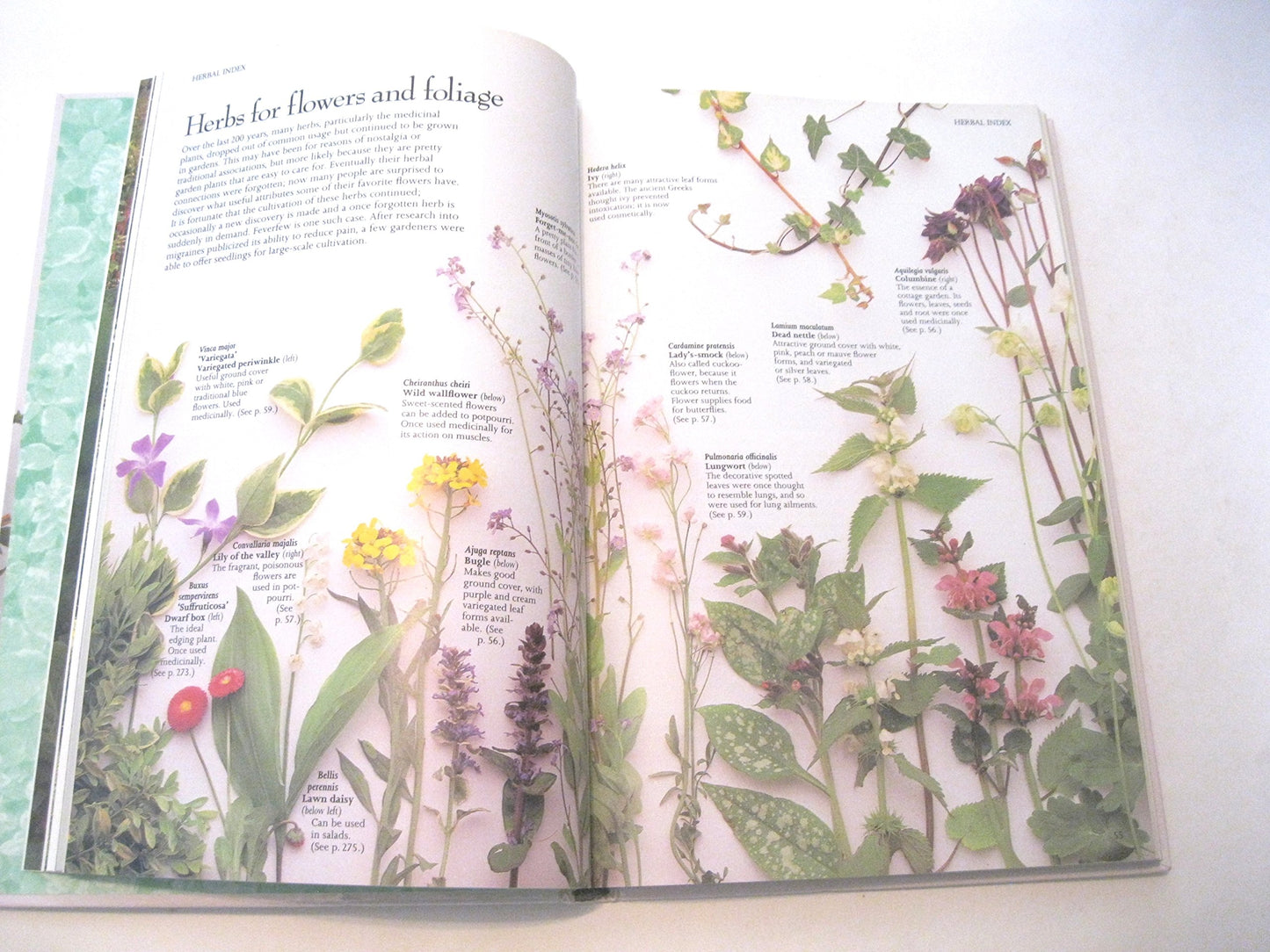 The Complete Book of Herbs: A Practical Guide to Growing and