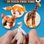 Whittling in Your Free Time: 16 Quick & Easy Projects to Carve in Wood (Fox Chapel Publishing) Sequel to 20-Minute Whittling Projects: Flat-Plane Style Safari, Aquatic, Woodland, Farm Animals, & More