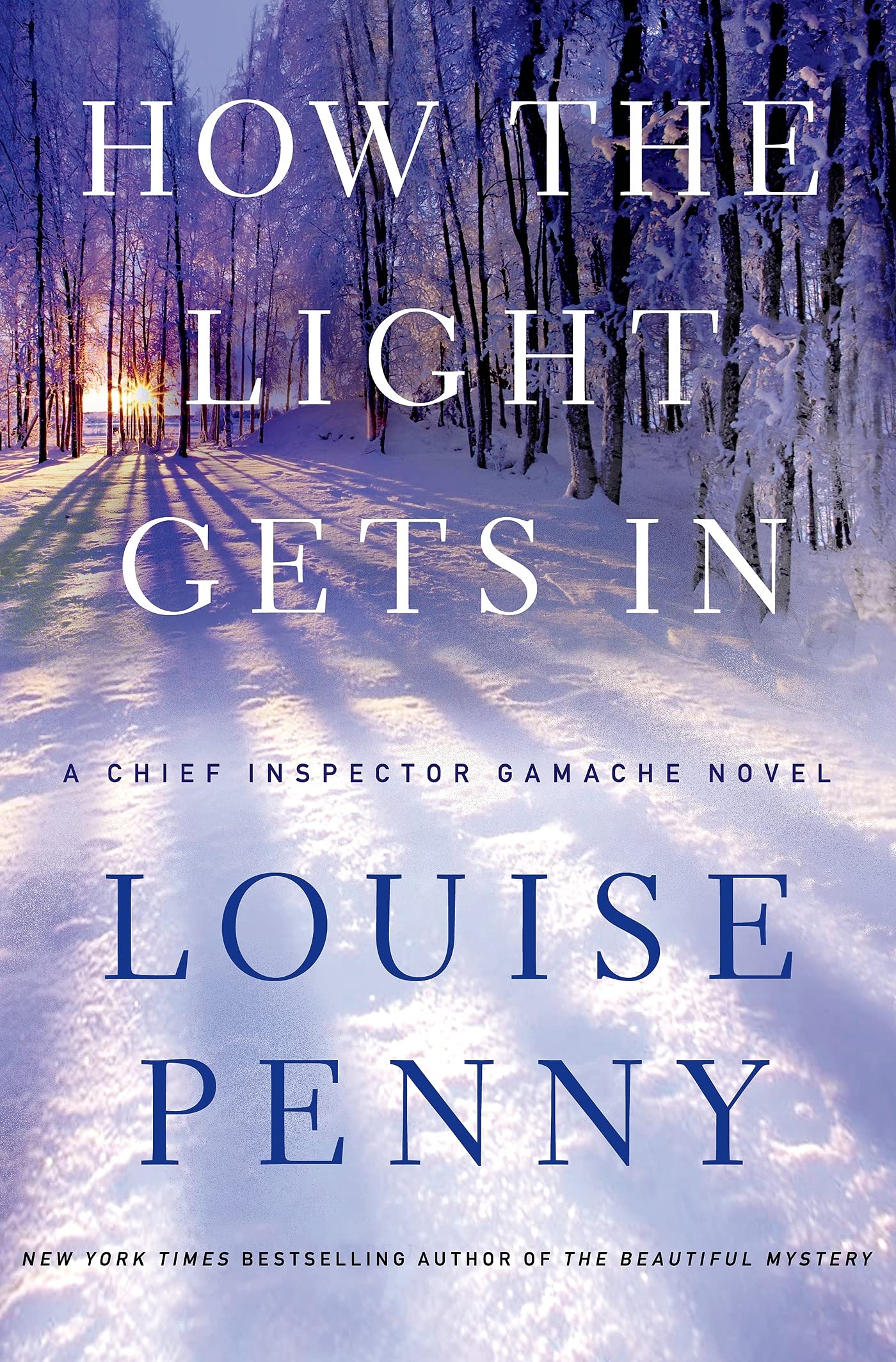 How the Light Gets In: A Chief Inspector Gamache Novel (Chie