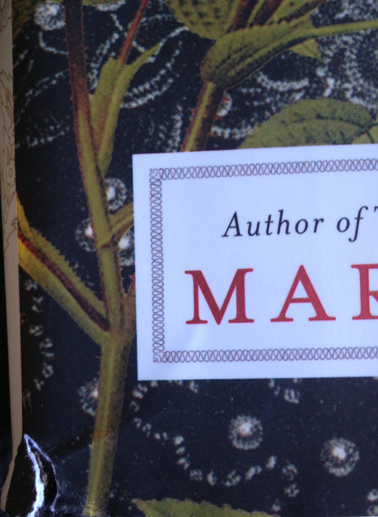 Elizabeth I: A Novel