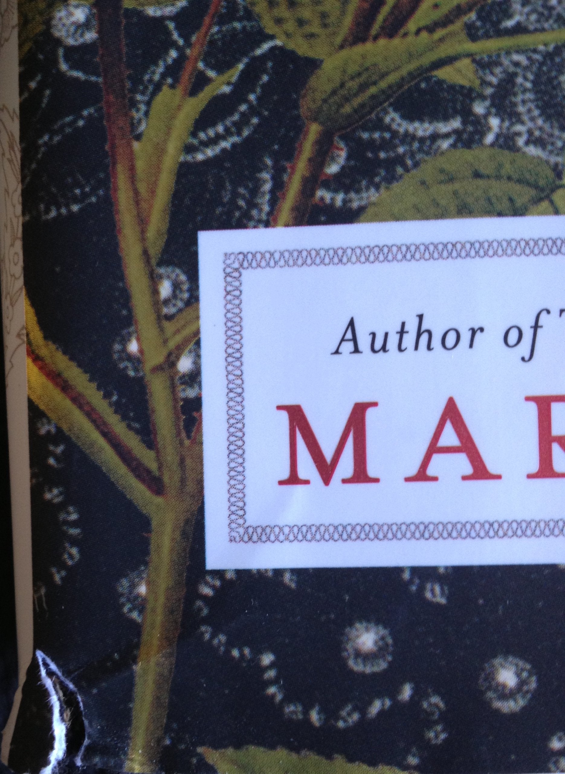 Elizabeth I: A Novel
