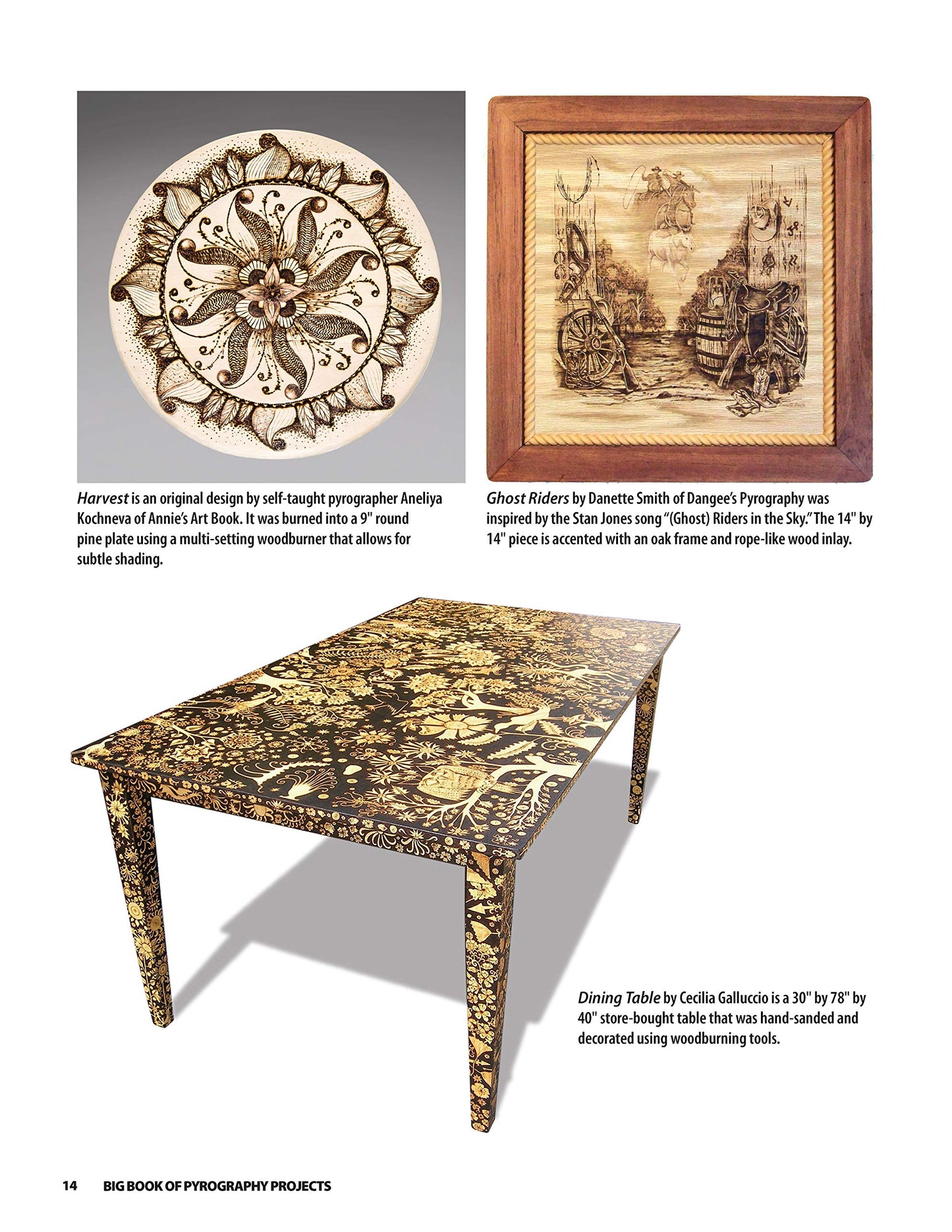 Big Book of Pyrography Projects: Expert Techniques and 23 All-Time Favorite Projects (Fox Chapel Publishing) Includes Beginner-Friendly Tips, Tricks, and Inspiration from Leading Woodburning Artists