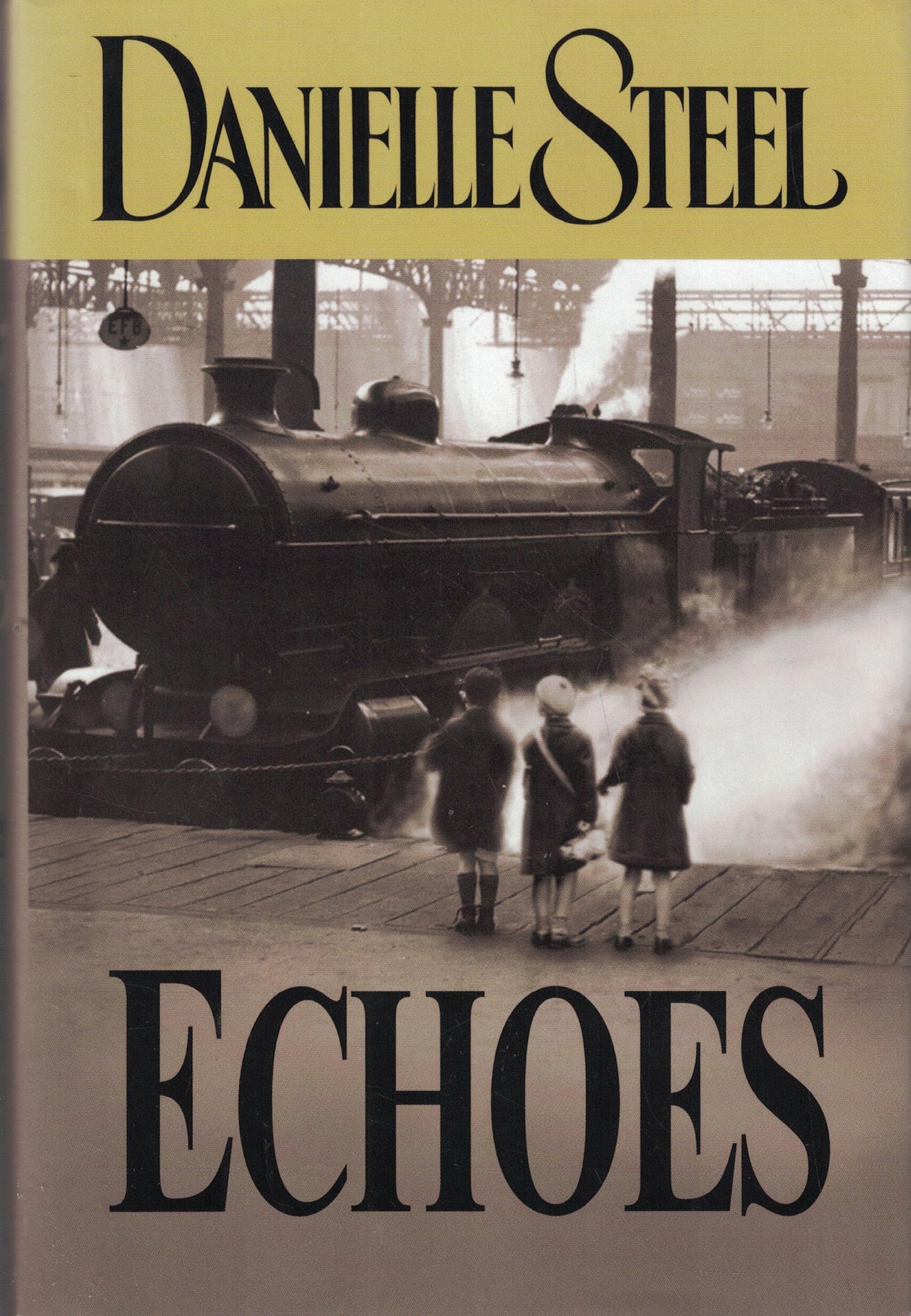 Echoes by Steel, Danielle