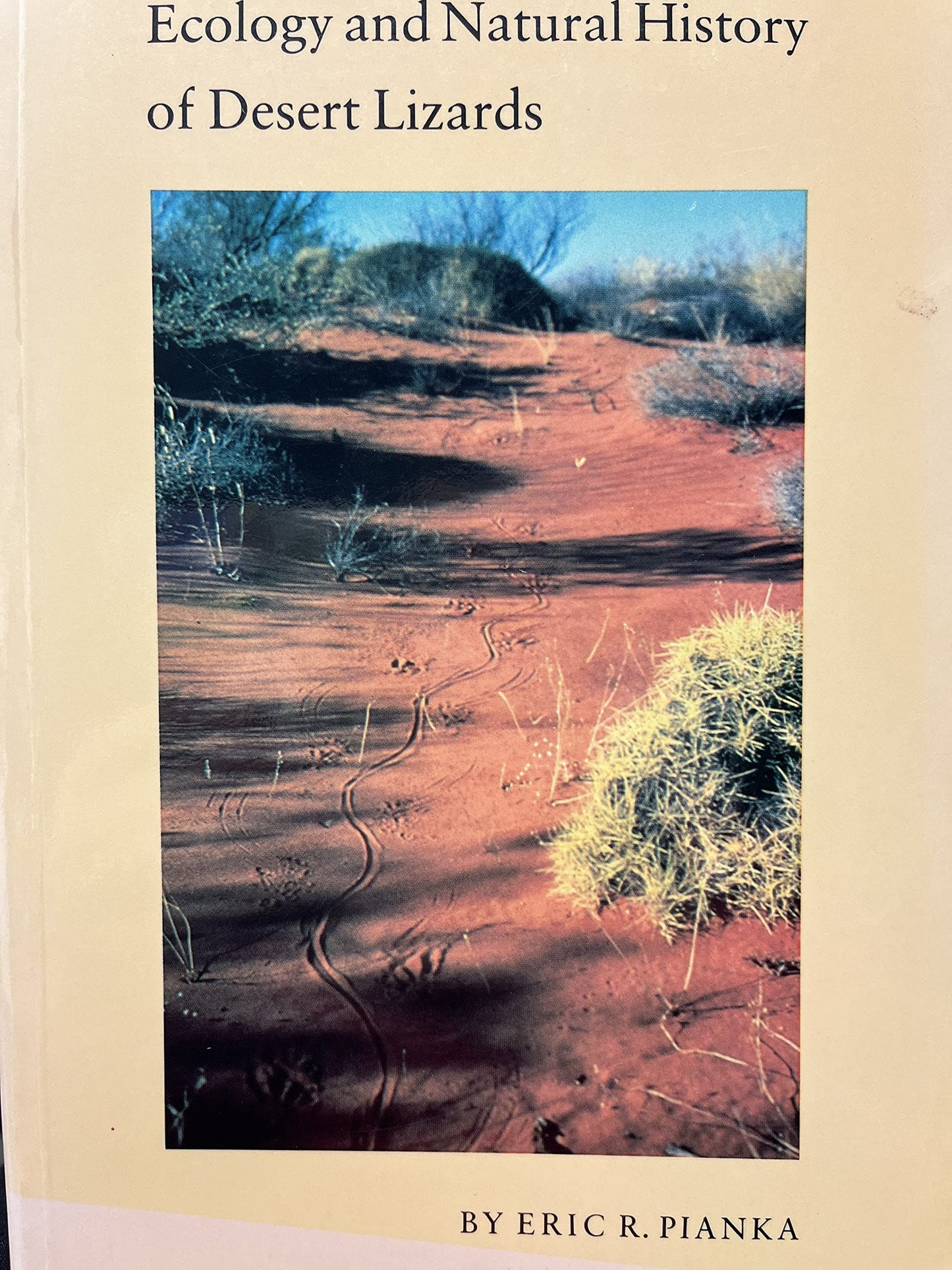Ecology and Natural History of Desert Lizards: Analyses of the Ecological Niche and Community Structure (Princeton Legacy Library, 5153)