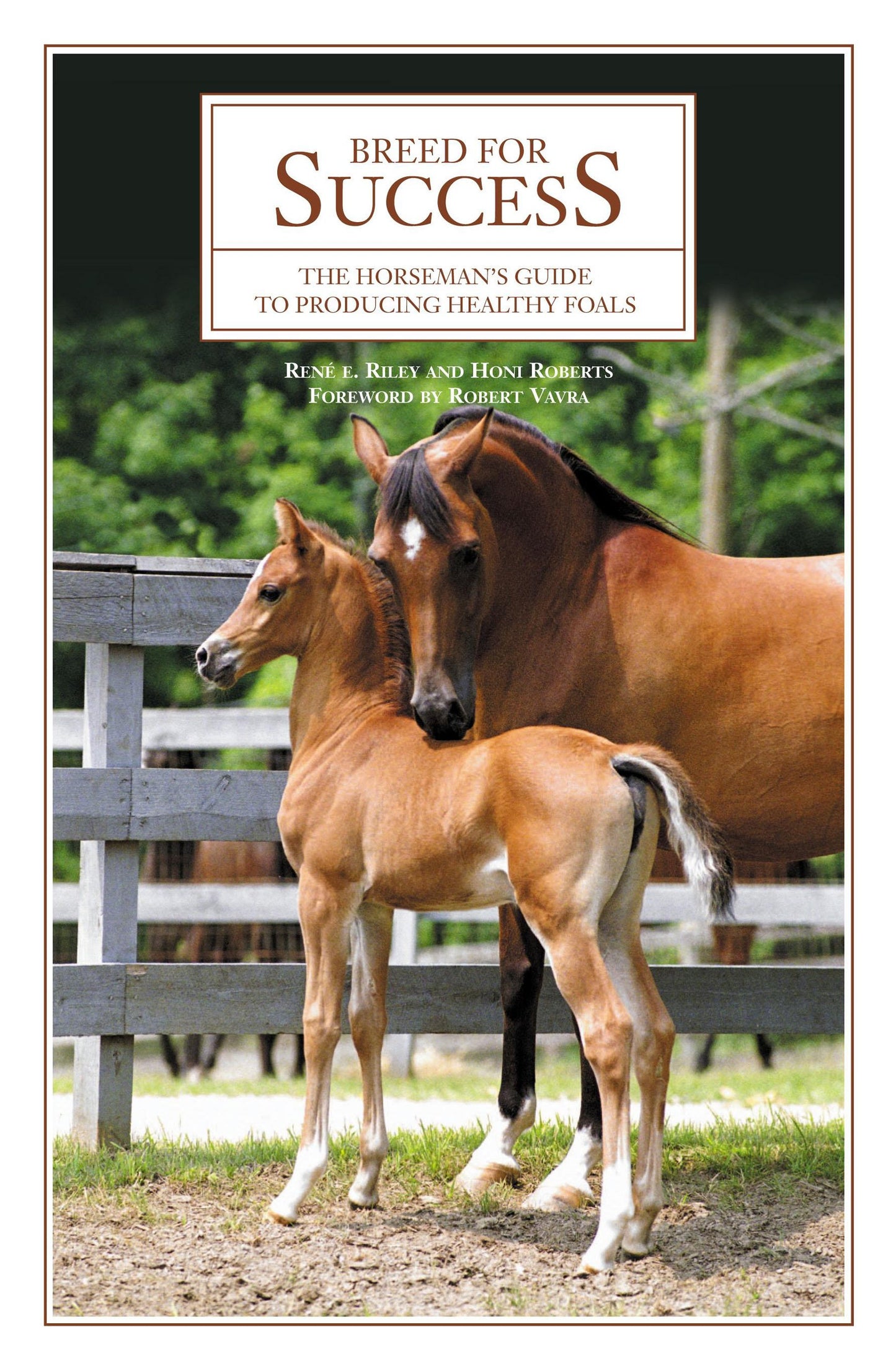 Breed For Success: The Horseman's Guide To Producing Healthy Foals