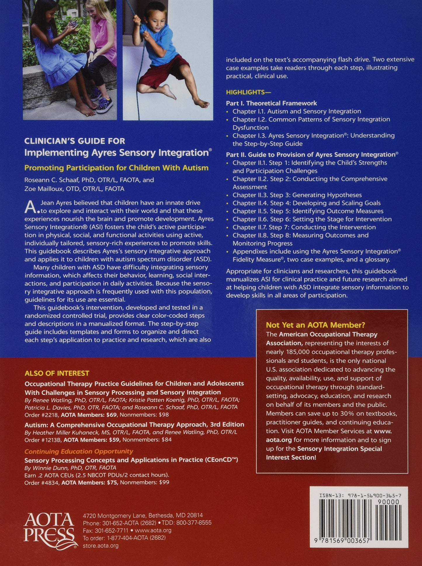 Clinician's Guide for Implementing Ayres Sensory Integration