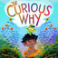 The Curious Why (The Magical Yet, 2)
